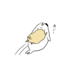 天パなあざらし（個別スタンプ：6）