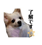 リッキースタンプです！（個別スタンプ：4）