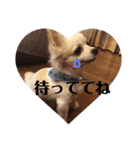 リッキースタンプです！（個別スタンプ：20）