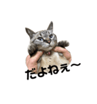 まるごとリンちゃん（個別スタンプ：5）