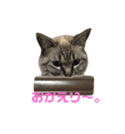 まるごとリンちゃん（個別スタンプ：23）