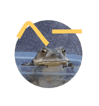 Frogs 4（個別スタンプ：3）