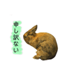 うたっちチョコ（個別スタンプ：7）