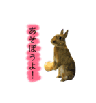 うたっちチョコ（個別スタンプ：8）