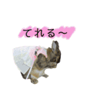 うたっちチョコ（個別スタンプ：13）
