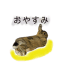 うたっちチョコ（個別スタンプ：14）