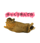 うたっちチョコ（個別スタンプ：22）