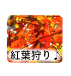 暮らしに花を♪紅葉（個別スタンプ：8）