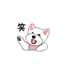 ウエスティ・チャコちゃんスタンプ（個別スタンプ：2）