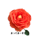 yasuおばさんの薔薇の挨拶（個別スタンプ：33）