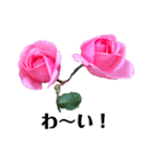 yasuおばさんの薔薇の挨拶（個別スタンプ：36）