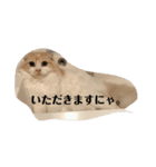愛しのスコちゃん2（個別スタンプ：14）