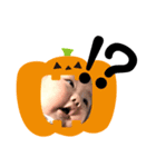 Happy Halloween Boy（個別スタンプ：11）