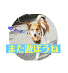茶太朗な日々（個別スタンプ：8）