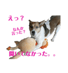 茶太朗な日々（個別スタンプ：9）
