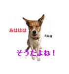 茶太朗な日々（個別スタンプ：16）