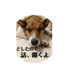 茶太朗な日々（個別スタンプ：23）