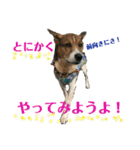 茶太朗な日々（個別スタンプ：24）