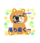茶太朗な日々（個別スタンプ：25）