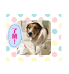 茶太朗な日々（個別スタンプ：37）