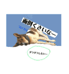 茶太朗な日々（個別スタンプ：40）
