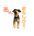 Jackの日常スタンプ NO.3（個別スタンプ：11）