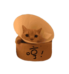 猫の日常生活.（個別スタンプ：13）