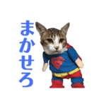 ココと仲間たち⑤（個別スタンプ：7）