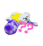 ペキニーズ4きょうだい♡（個別スタンプ：3）