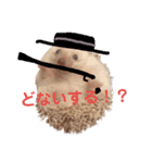 関西弁ハリネズミのピかちゃん ①（個別スタンプ：7）