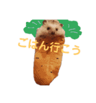 関西弁ハリネズミのピかちゃん ①（個別スタンプ：9）