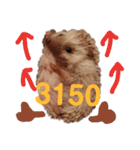 関西弁ハリネズミのピかちゃん ①（個別スタンプ：14）