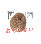 関西弁ハリネズミのピかちゃん ①（個別スタンプ：20）