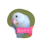 きいちゃ（個別スタンプ：1）