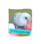 きいちゃ（個別スタンプ：3）