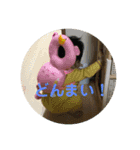 HERO5（個別スタンプ：4）
