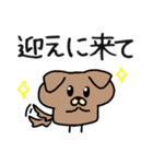 ましゅいぬ（個別スタンプ：11）