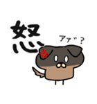 ましゅいぬ（個別スタンプ：12）