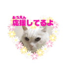 白猫みいこ vol.2（個別スタンプ：6）