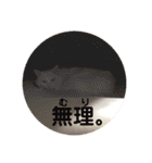 白猫みいこ vol.2（個別スタンプ：11）