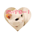白猫みいこ vol.2（個別スタンプ：24）