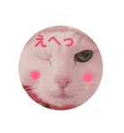 白猫みいこ vol.2（個別スタンプ：38）
