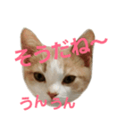 ひこ＆くー 5（個別スタンプ：13）