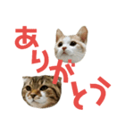 ひこ＆くー 5（個別スタンプ：14）