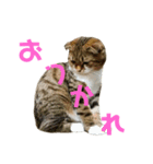 ひこ＆くー 5（個別スタンプ：15）