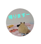 ほのぼのはむさん1（個別スタンプ：8）