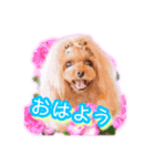 かわいい挨拶スタンプ〜kuuu〜（個別スタンプ：1）