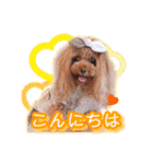 かわいい挨拶スタンプ〜kuuu〜（個別スタンプ：2）