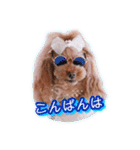 かわいい挨拶スタンプ〜kuuu〜（個別スタンプ：3）