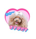 かわいい挨拶スタンプ〜kuuu〜（個別スタンプ：5）